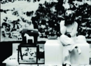 Frances Williams, Ting And Tang Anachronisms 1