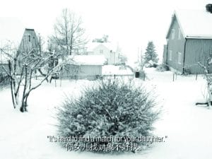 Xin Shen, Snow Country