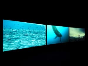 John Akomfrah Vertigo Sea