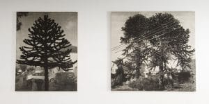 Andrew Curtis