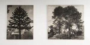 Andrew Curtis