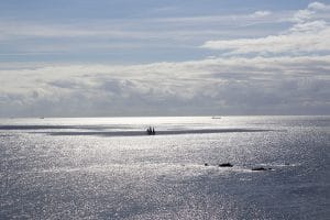 Flotilla
