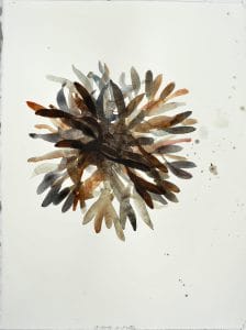 Michael Porter Seaweed 13-01-14