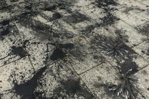 Imran Qureshi floor painting