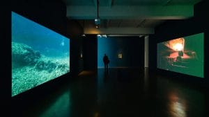 Fathom by Simon Faithfull at The Exchange, Penzance