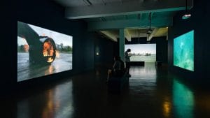 Fathom by Simon Faithfull, at The Exchange, Penzance