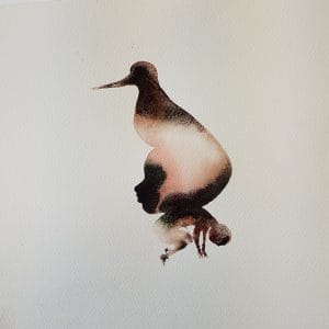 Reflections on islands, human and non-human bodies: their fluids, and where they overlap. Works in oil and watercolour.