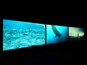 John Akomfrah Vertigo Sea