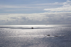 Flotilla