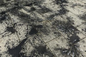 Imran Qureshi floor painting