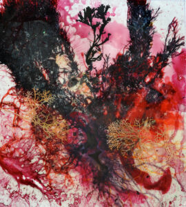 Michael Porter Seaweed 01-12-15