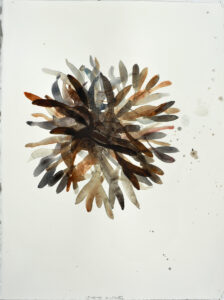 Michael Porter Seaweed 13-01-14