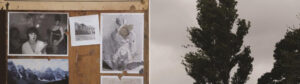 Naomi Frears, Still Here 2