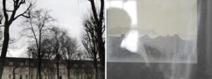 Naomi Frears, Still Here 6