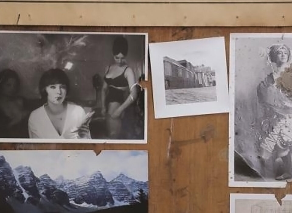 Naomi Frears, Still Here