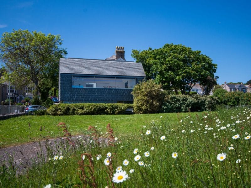A modern, contemporary art gallery building with slate walls, sits beside a grassy field with white daisies under a clear blue sky, surrounded by trees and other houses in the background.