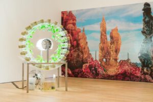 Europe After The Rain, at Newlyn Art Gallery, curated by Simon Faithfull