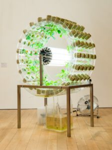 Europe After The Rain, at Newlyn Art Gallery, curated by Simon Faithfull