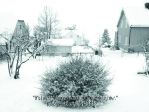 Xin Shen, Snow Country