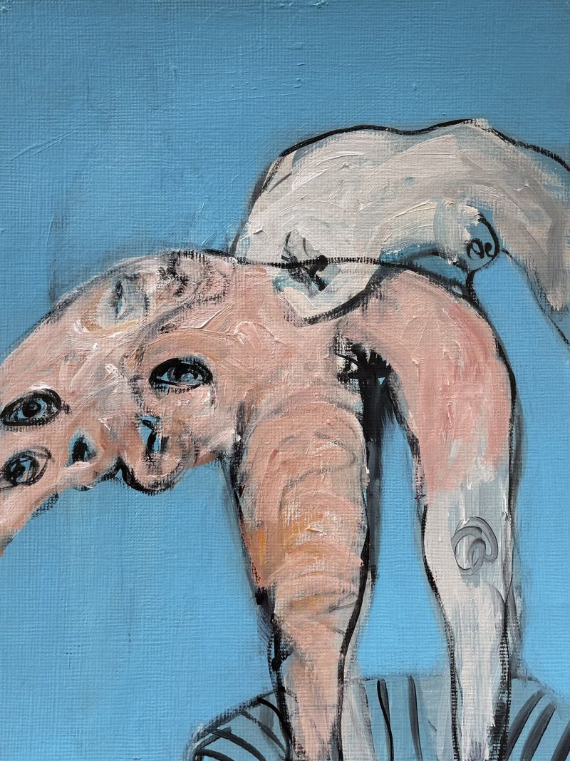 Corinna Spencer - On Blue