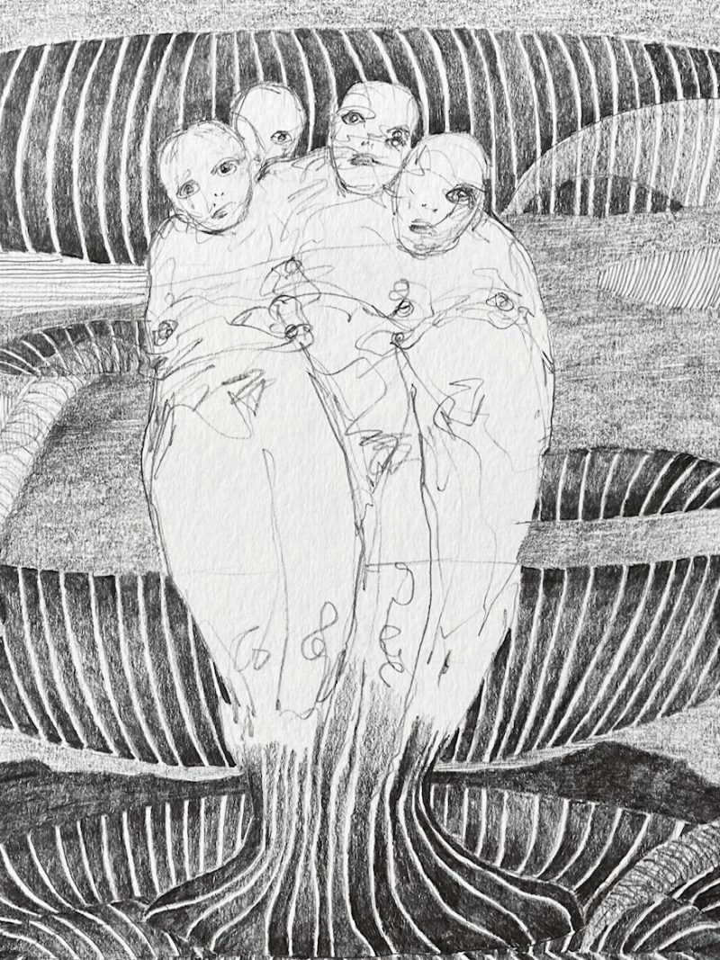 Corinna Spencer - Night Drawing