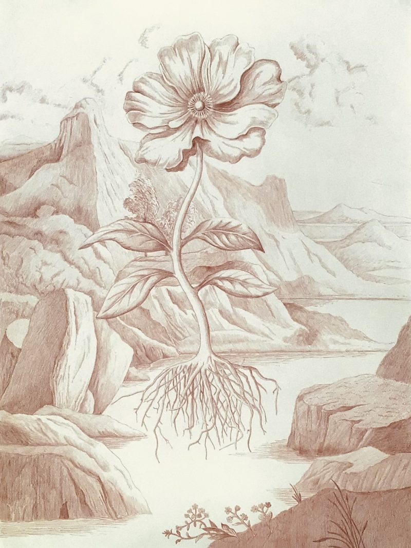 Roger Towndrow - Italian Study I