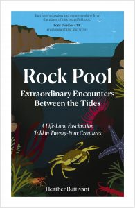 Book Cover Rock Pool : Extraordinary Encounters Between the Tides By Heather Buttivant
