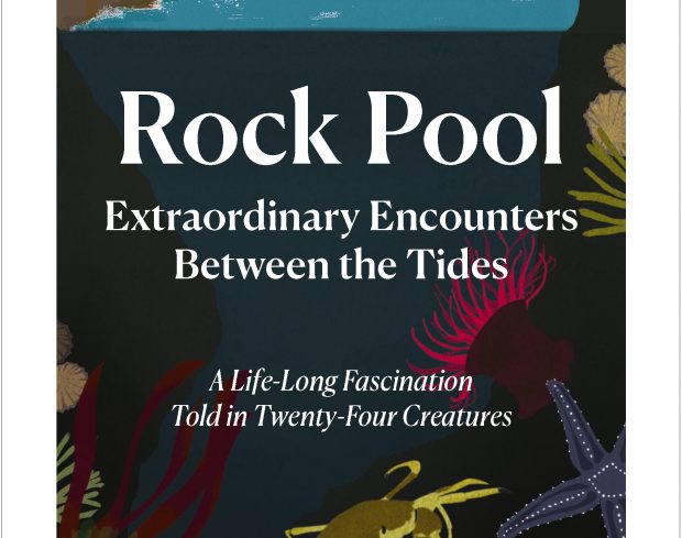 Book Cover Rock Pool : Extraordinary Encounters Between the Tides By Heather Buttivant