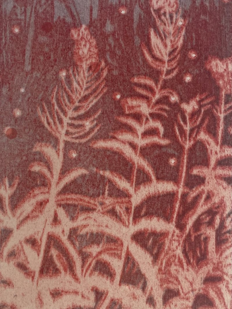red and white print of plants