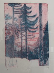 pink and blue print of trees