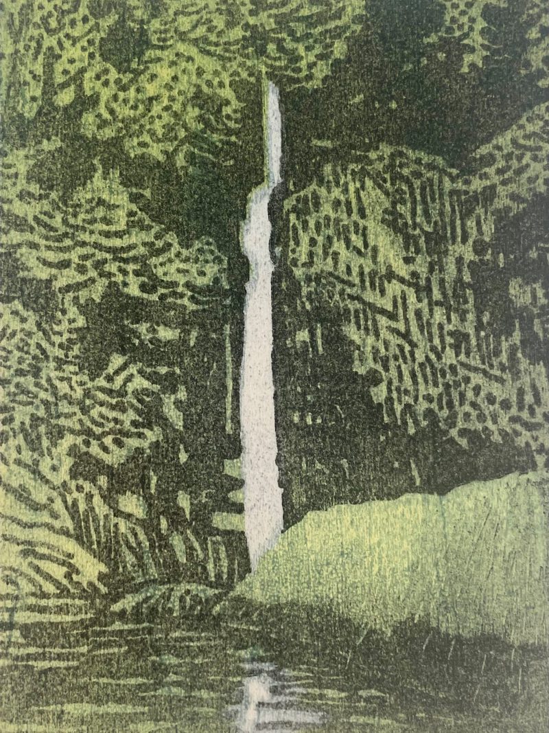 print of waterfall and pool in green foliage