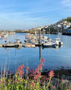 Image shows the pontons in Newlyn harbour