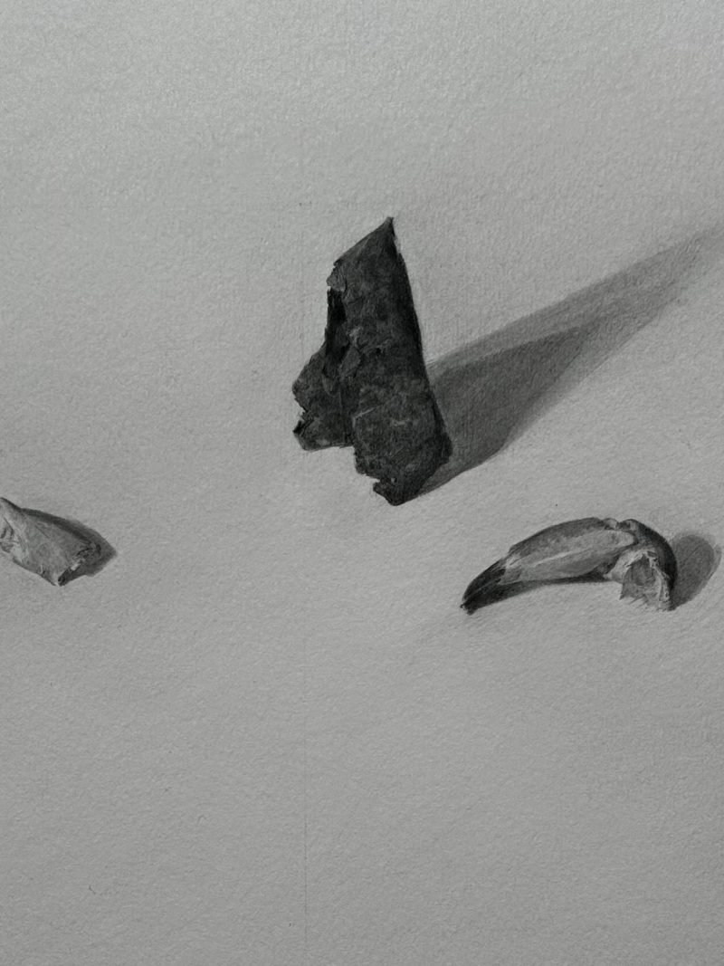 black and white graphite drawing of small spikey objects
