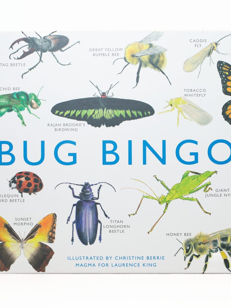 Bug Bingo white box with bug illustrations