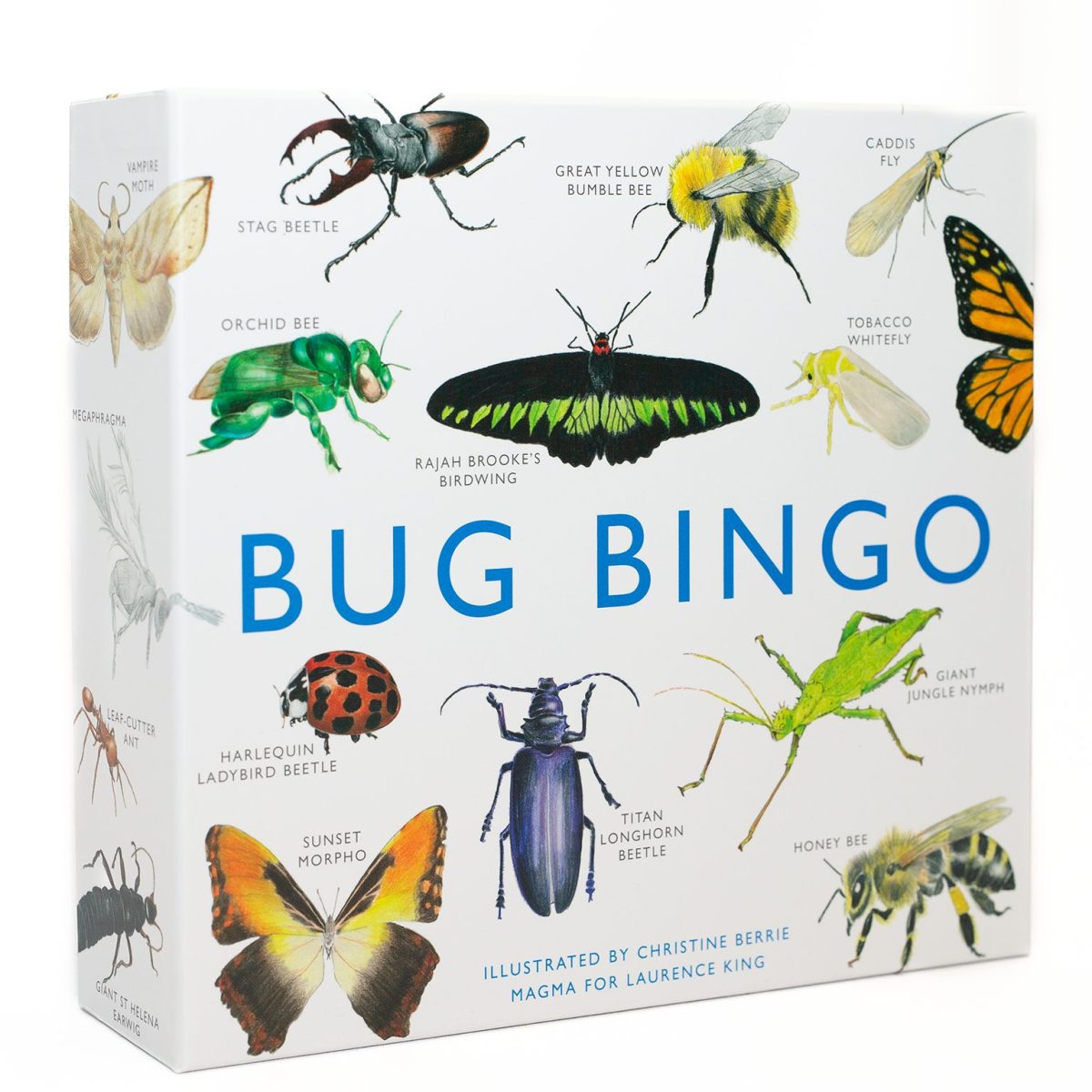 Bug Bingo white box with bug illustrations