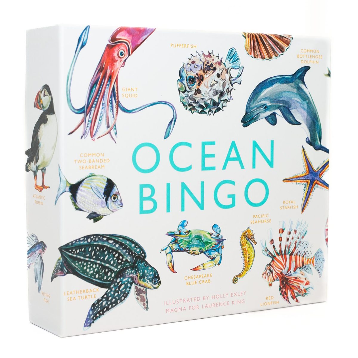 Ocean bingo white box with sea life illustrations